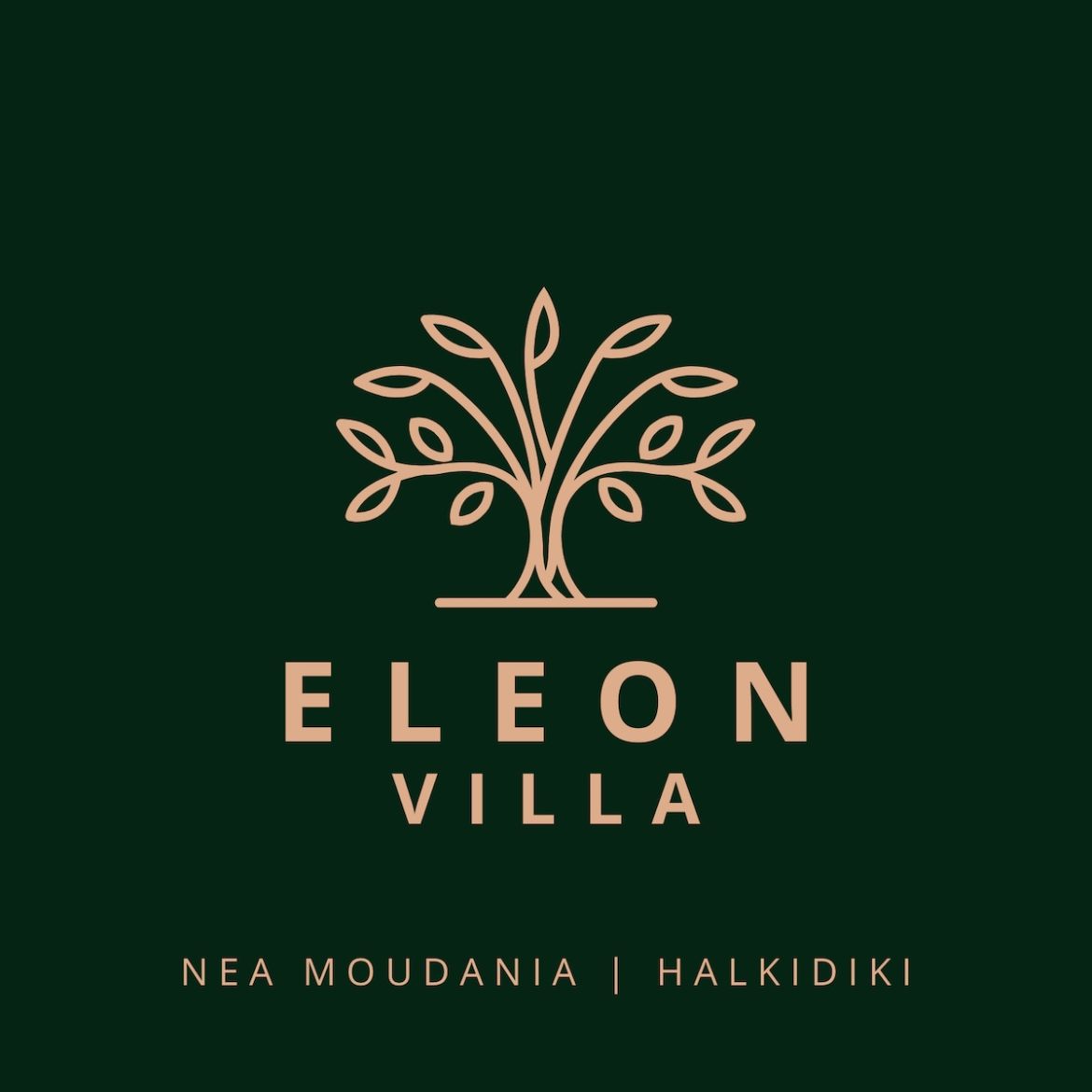 Eleon Villa by Booking Kottas